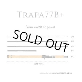 TRANSCENDENCE - HEDGEHOG STUDIO