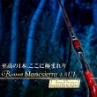 Photo4: [Fishman] Beams blancsierra 4.8UL LIMITED (Rod) (4)