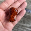 Photo12: [FHF/fishing house freedom] Wood Handle Knob Oval Shape Grade A "Karin" (Padouk) Red and White Burl (1 piece) F-19 (12)