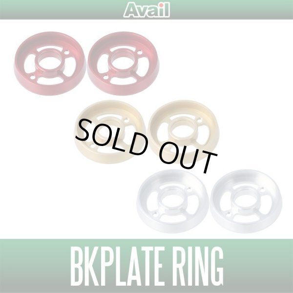 Photo1: [Avail] Brake Plate Ring (1)