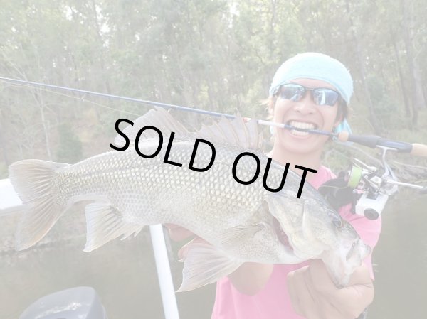 Photo14: [TRANSCENDENCE] Botia 60S+ Rev.2 (Rod) (14)