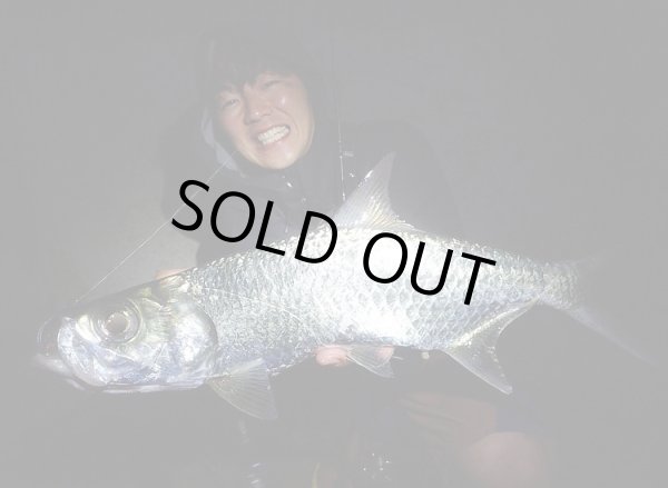 Photo6: [TRANSCENDENCE] Botia 60S+ Rev.2 (Rod) (6)