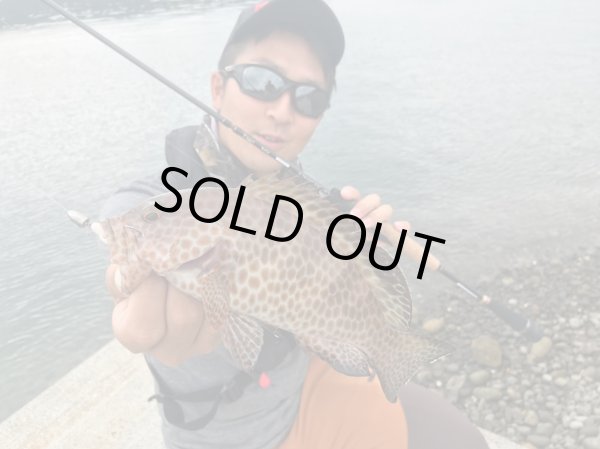 Photo8: [TRANSCENDENCE] Botia 60S+ Rev.2 (Rod) (8)