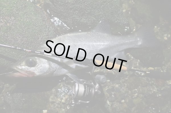 Photo7: [TRANSCENDENCE] Botia 60S+ Rev.2 (Rod) (7)