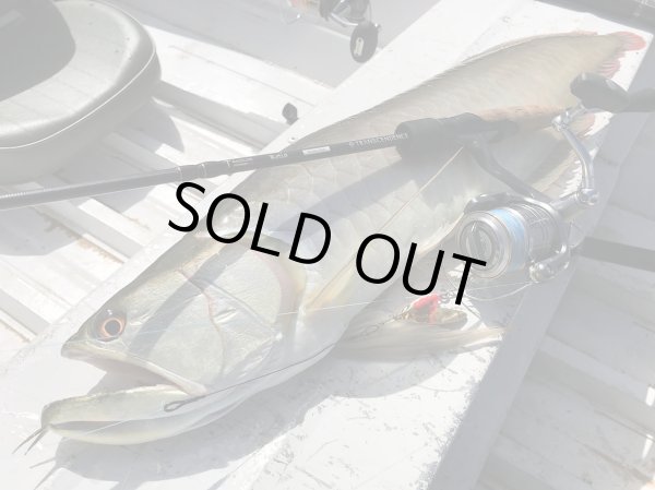 Photo12: [TRANSCENDENCE] Botia 60S+ Rev.2 (Rod) (12)