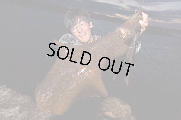 Photo5: [TRANSCENDENCE] Botia 60S+ Rev.2 (Rod) (5)