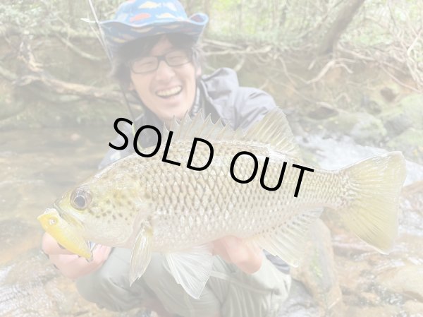 Photo2: [TRANSCENDENCE] Botia 60S+ Rev.2 (Rod) (2)