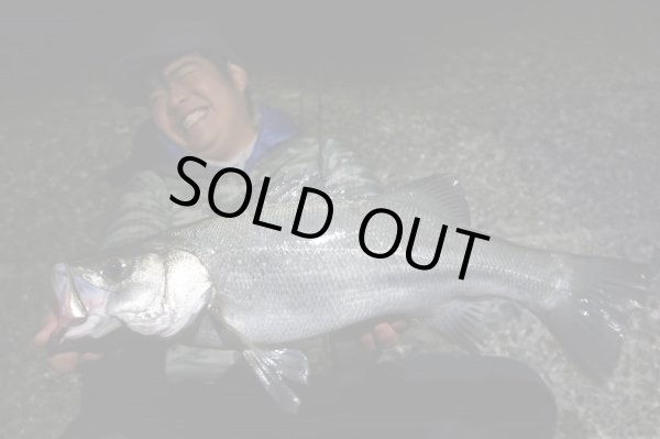 Photo9: [TRANSCENDENCE] Botia 60S+ Rev.2 (Rod) (9)