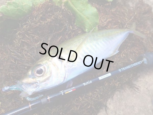 Photo10: [TRANSCENDENCE] Botia 60S+ Rev.2 (Rod) (10)