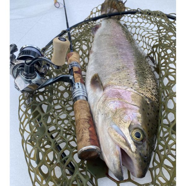 Photo7: [FHF/fishing house freedom] Wood Handle Knob Paddle Type 2 Maple (1 piece) F-24 (7)