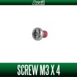Photo2: [Avail] Stainless Universal Screw (M2.5x4mm, M3x3.4mm) (2)