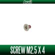 Photo1: [Avail] Stainless Universal Screw (M2.5x4mm, M3x3.4mm) (1)