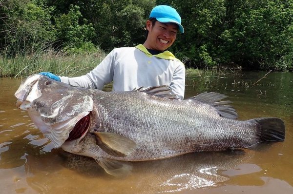 Photo12: [TRANSCENDENCE] Laulau 8.3GT-S Rev3.0 / Spinning (Rod) (12)