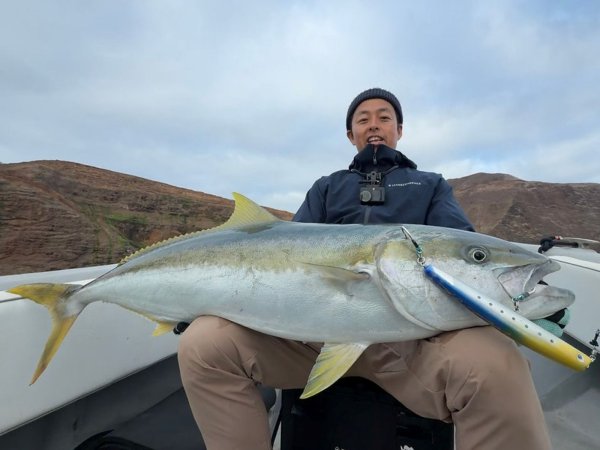 Photo4: [TRANSCENDENCE] Foehn 88S (Rod) (4)