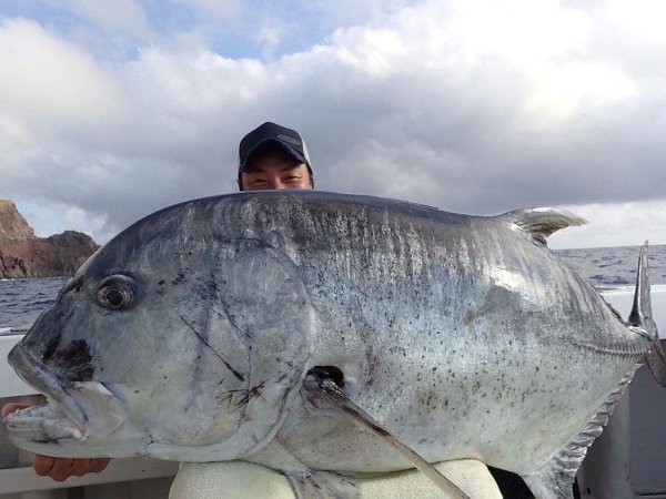 Photo4: [TRANSCENDENCE] Laulau 8.3GT-S Rev3.1 / Laulau Spinning / Spinning (Rod) (4)