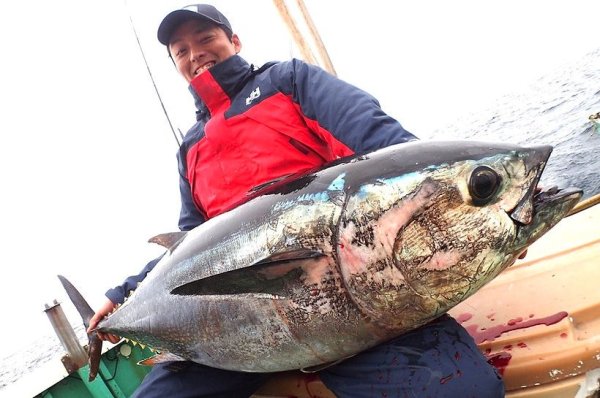 Photo6: [TRANSCENDENCE] Laulau 8.3GT-S Rev3.1 / Laulau Spinning / Spinning (Rod) (6)