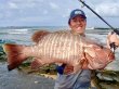 Photo5: [TRANSCENDENCE] Laulau 8.3GT-S Rev3.1 / Laulau Spinning / Spinning (Rod) (5)