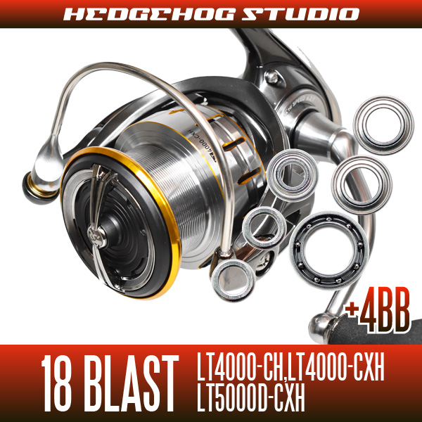 18 BLAST LT4000-CH, LT4000-CXH, LT5000D-CXH MAX10BB Full Bearing Kit
