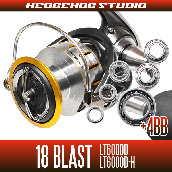 18 BLAST LT6000D, LT6000D-H MAX10BB Full Bearing Kit