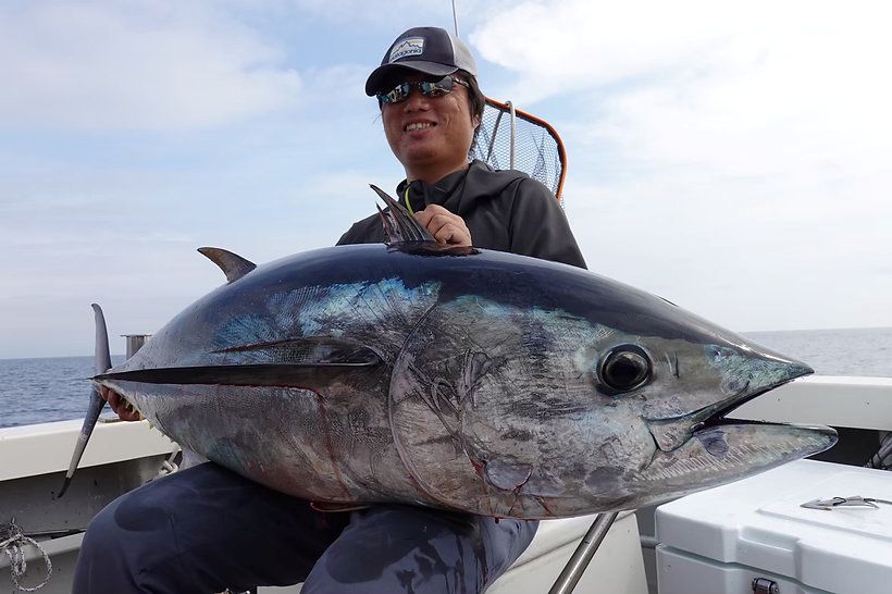 TRANSCENDENCE] Laulau 8.3GT-S Rev3.0 / Spinning (Rod)