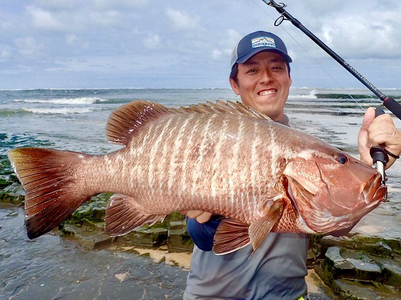 Plain Text TRANSCENDENCE Laulau 8.3GT-S Rev3.1 Offshore Spinning